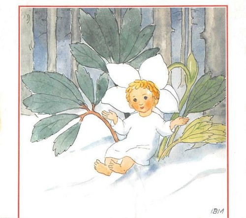 Originale rarität ida - ,