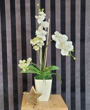 Orchideen Gesteck aus