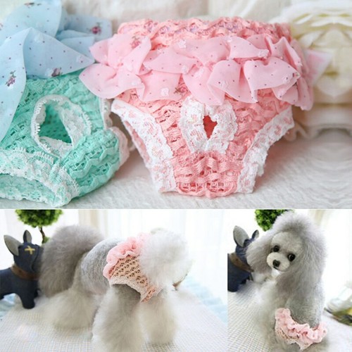 Hunde schutzhose - hunde,
