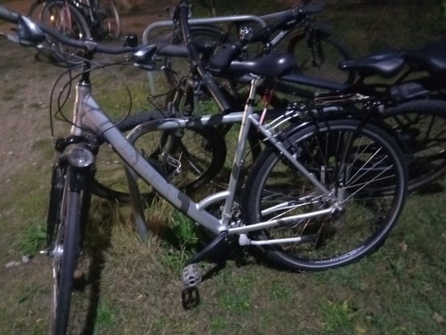 Fahradt damen iger - iger,