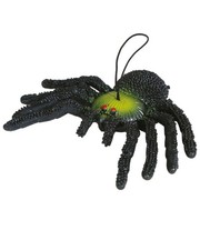 Schwarz-Grüne Gummispinne als