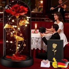 LED Ewige Rose im Glas