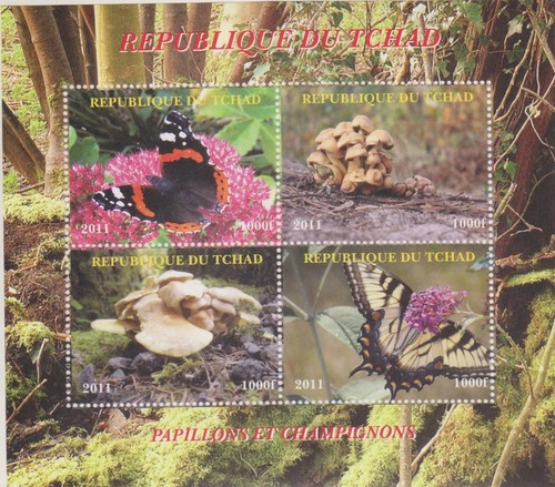 Schmetterlinge und pilze - schmetterlinge,