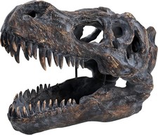 T-Rex Skull Wall-Mounted