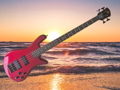 Spector performer saitige - spector,
