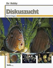 Diskuszucht ihr hobby - diskuszucht,,