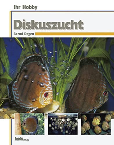 Diskuszucht ihr hobby - diskuszucht,,