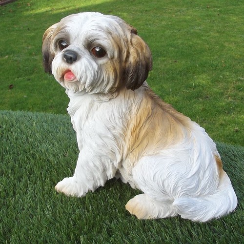 Gartenfigur hund shih tzu 33cm - shih,