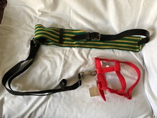 Shetty Fohlen Vorführ - Anbindegurt Stoff für Pferdeschauen mit Fohlenhalfter