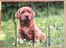 RIESEN-Tier-Poster HUND