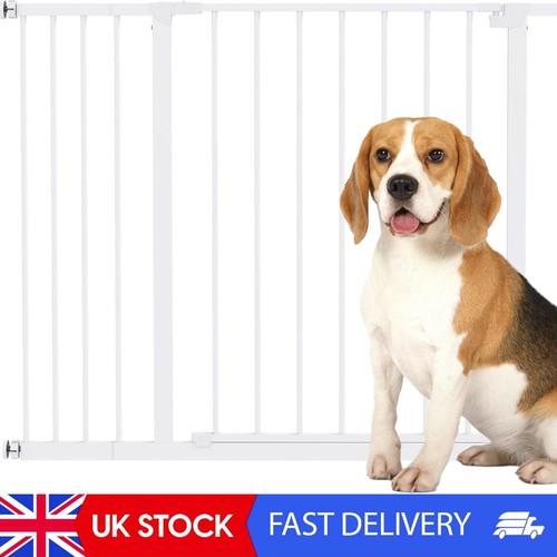 Hundetor haustier - hundetor,