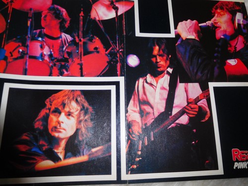 Pink floyd poster - ,