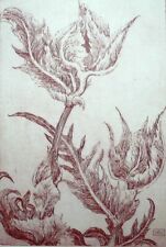 FARBRADIERUNG - DISTEL  - HANDSIGNIERT -+ NUMMERIERT 32/170