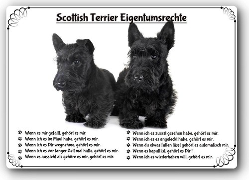 Warnschild 20x30cm - warnschild,