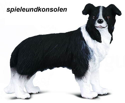 Border collie hunde und - 7,