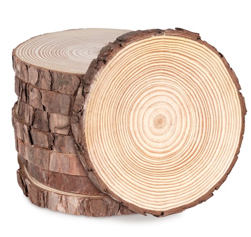 Holzscheiben 17cm - holzscheiben, 16-17cm