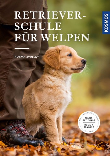 Retrieverschule für welpen - für,