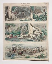Münchner Bilderbogen Nr. 386, altkol. Holzstich, Südamerika, Urwald in Brasilien