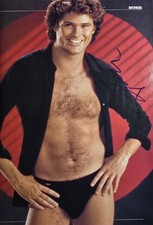 David Hasselhoff, In Person