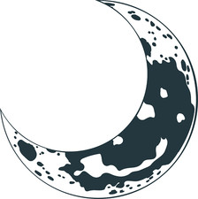 XXL 18X18 Car Decal Snake