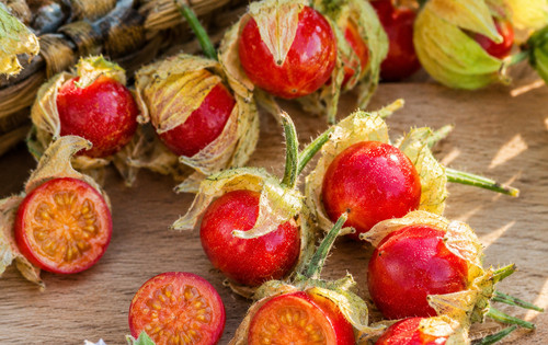 80002583 tomato litchi - litchi, mini