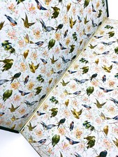 Rudolf Baumbach / DER