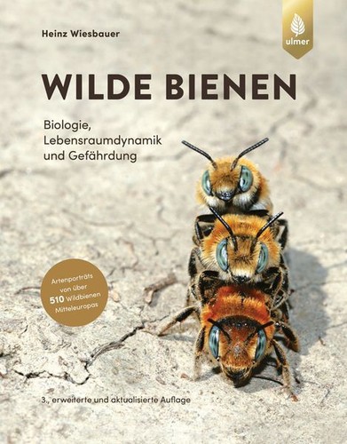 Wilde bienen biologie - bienen:,