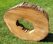 🌳 Baumscheibe von der