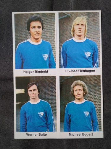 Bergmann vfl bochum - bergmann,