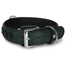 Das Lederband Hunde Halsband
