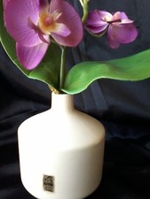 Sgrafo Modern Entwurf Peter