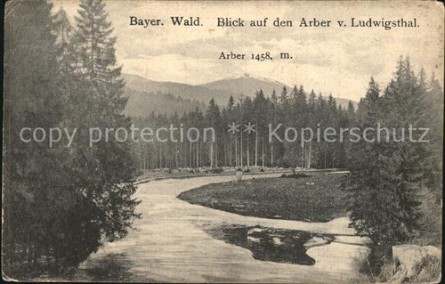 Arber blick vom ludwigsthal - blick,