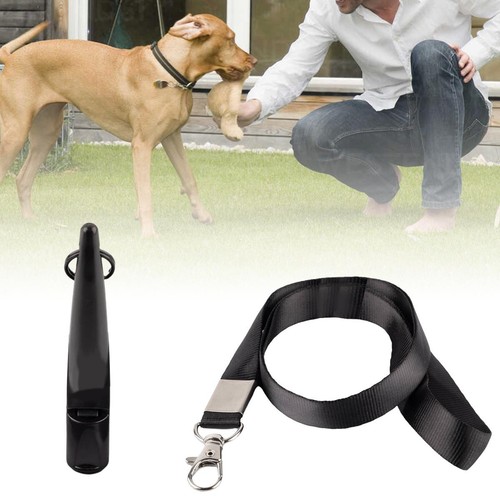 Plastik jagdhund pfeife mit - jagdhund,