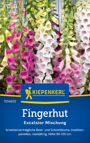 Fingerhut excelsior - fingerhut, *