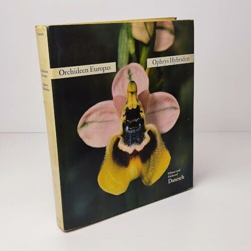 Orchideen europas ophrys - europas,