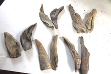 Schwemmholz Treibholz  10