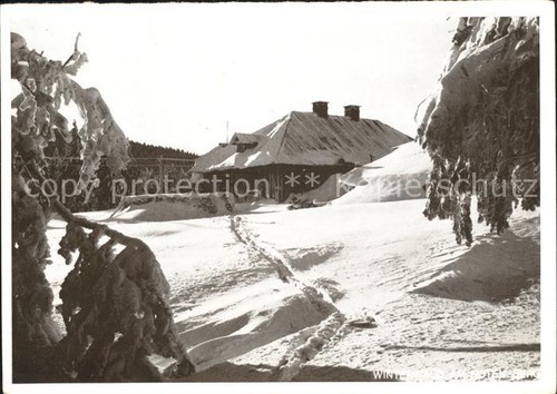 Altvatergebirge winterwald - altvatergebirge,