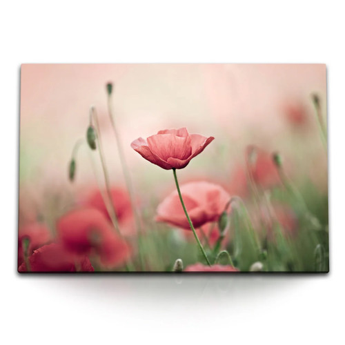 120x80cm wandbild auf leinwand - 120x80cm,