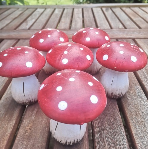 Fliegenpilze pilze keramik - pilze,