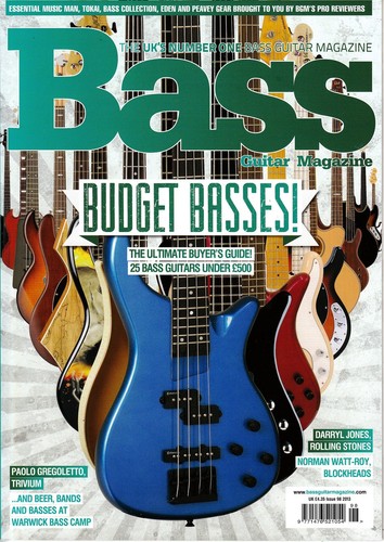 Bass guitar december 2013 - bass,