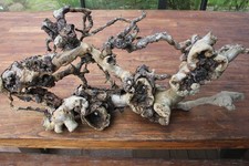 Große Pinie Holzwurzel DIY