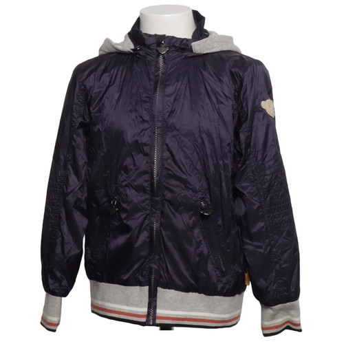 Steiff collection - steiff,