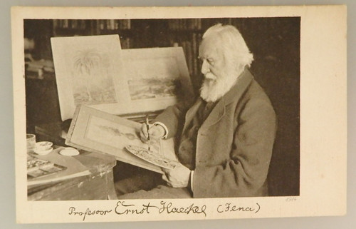 Porträt foto postkarte - porträt,