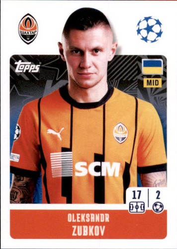 Champions league sticker - champions,