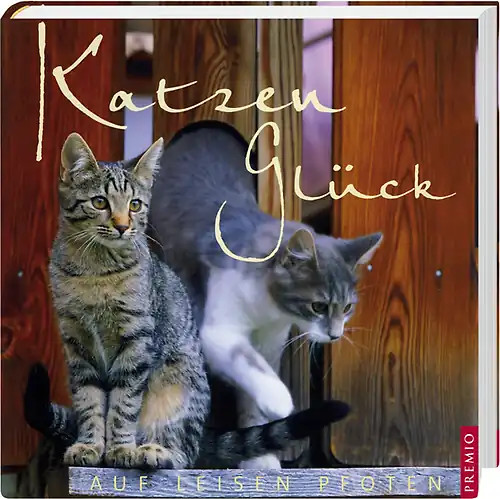 Katzenglück auf leisen pfoten - katzenglück,