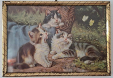 ANTIKER DRUCK GERAHMT ( Blechrahmen) KATZEN IM GARTEN