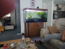 aquarium komplett mit
