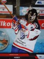 127 Maskottchen Husky Kassel