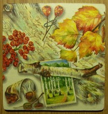 Deko HDF - Natur Bäume Garten Wald Birke Rinde Herbst