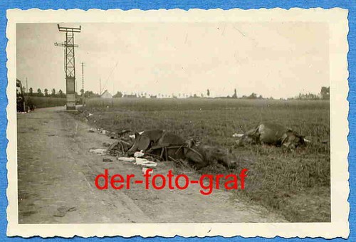 Foto belgien auf dem - belgien,,